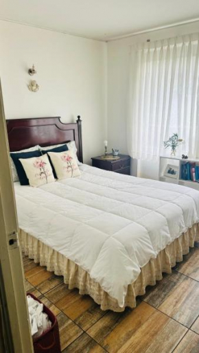 Departamento en Viña del Mar Céntrico